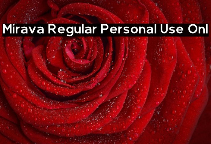 Mirava Regular Personal Use Onl Example 2