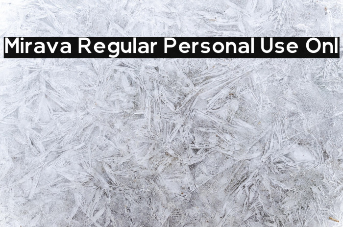 Mirava Regular Personal Use Onl Example 3
