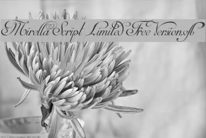 Mirella Script Limited Free Version.vfb Шрифта examples