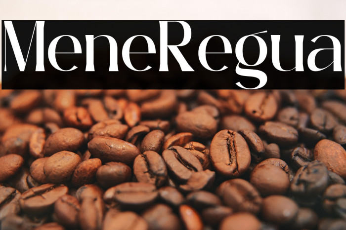 Mirelline Regular Example 2