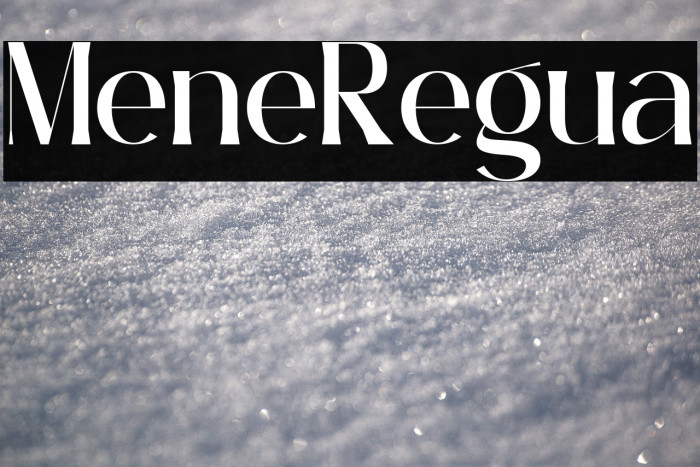 Mirelline Regular Example 3