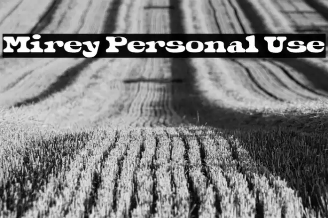 Mirey Personal Use フォント examples