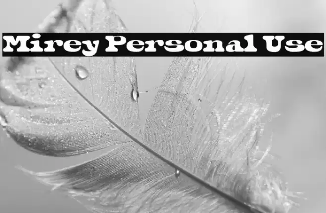 Mirey Personal Use フォント examples