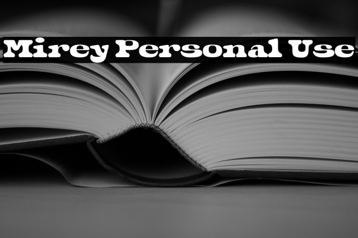 Mirey Personal Use Example 3