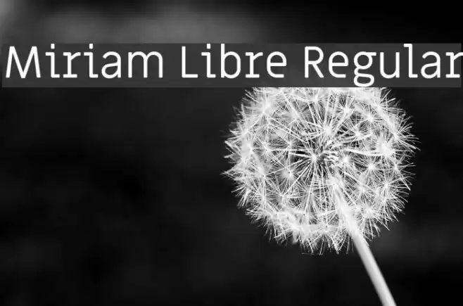 Miriam Libre Regular Font examples
