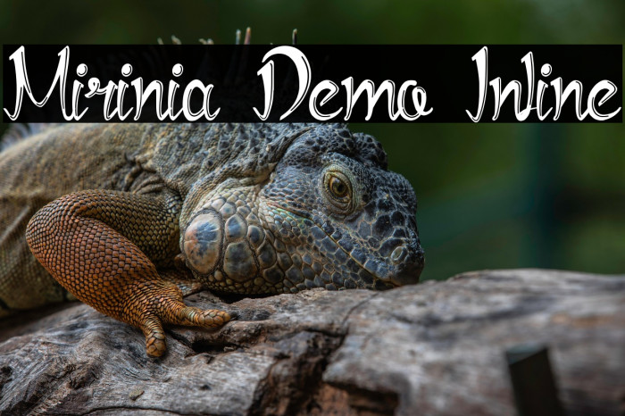 Mirinia Demo Inline Example 1