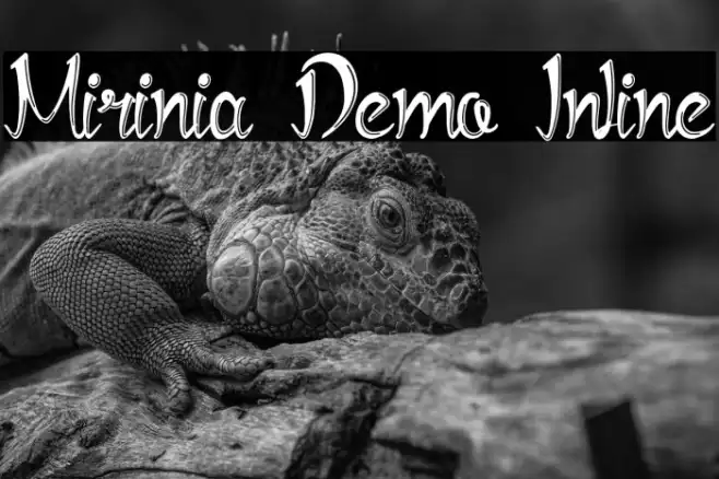 Mirinia Demo Inline Example 1