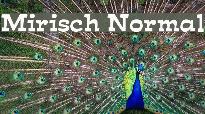 Mirisch Normal Font examples