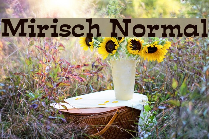 Mirisch Normal Font examples