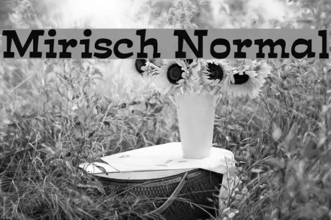 Mirisch Normal Example 2