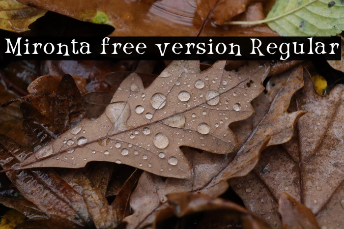 Mironta free version Regular Example 2