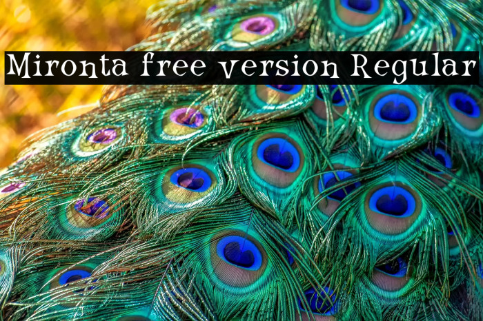 Mironta free version Regular Example 3