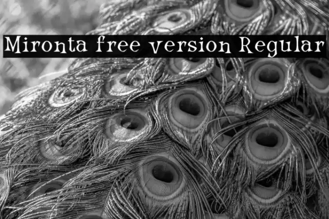 Mironta free version Regular Font examples