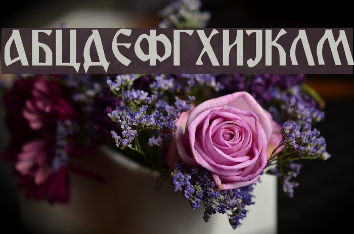 Miroslav Font examples