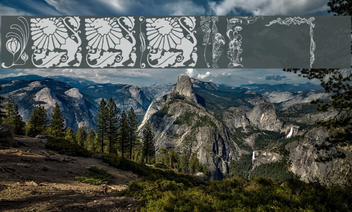 MirrorImage  Example 3