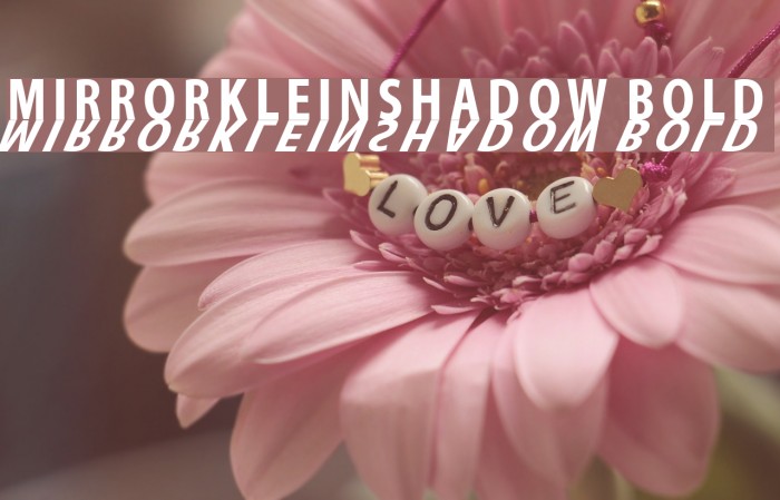 MirrorKleinShadow Bold Font examples