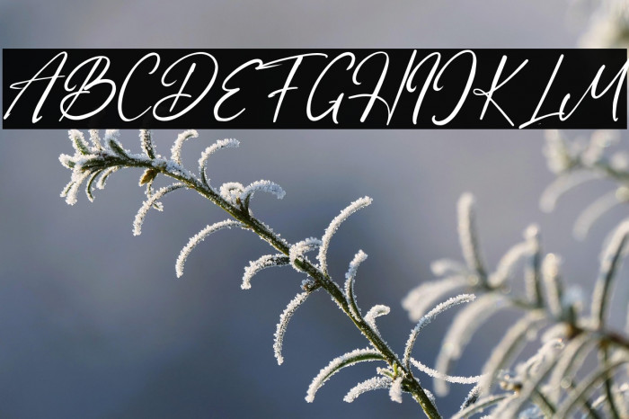 MirrorPool Example 1