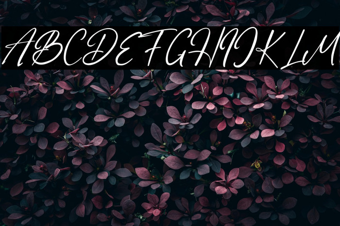 MirrorPool Example 2