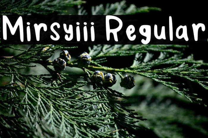 Mirsyiii Regular Example 2