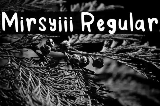 Mirsyiii Regular Example 2