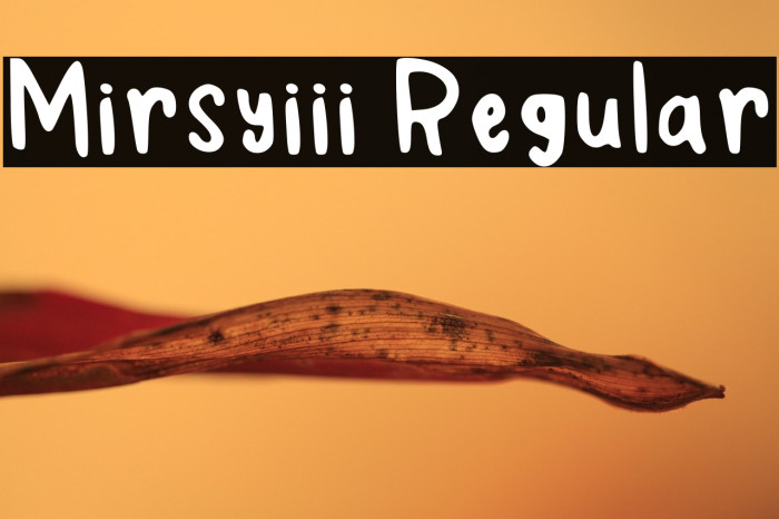 Mirsyiii Regular Example 3