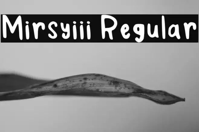Mirsyiii Regular Example 3