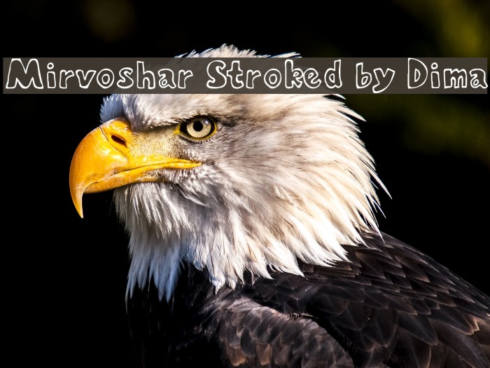 Mirvoshar Stroked by Dima Font examples