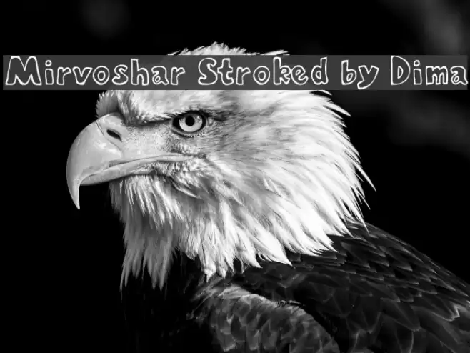 Mirvoshar Stroked by Dima Font examples
