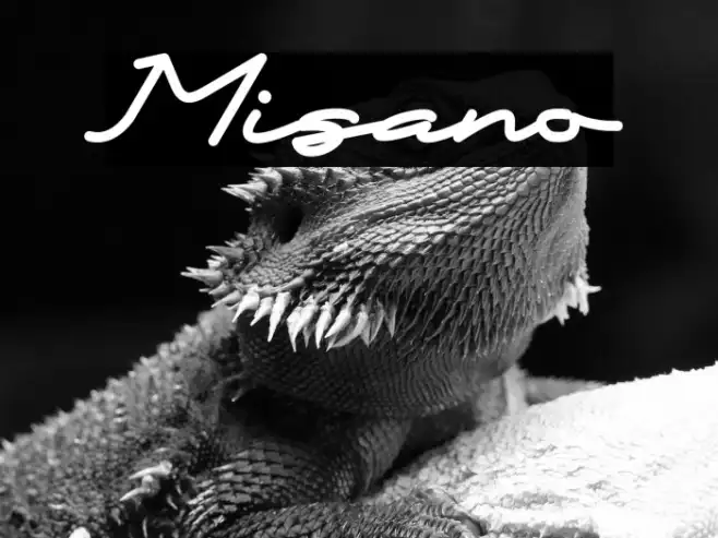 Misano Example 1