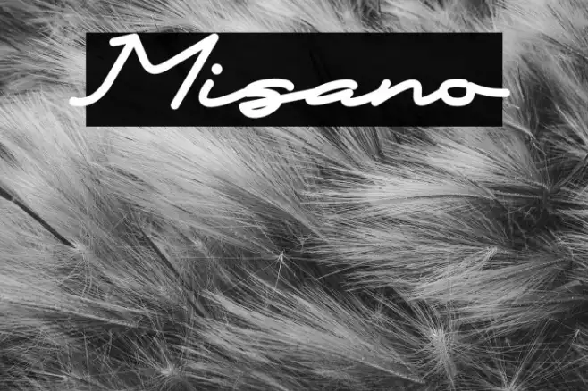 Misano Example 2