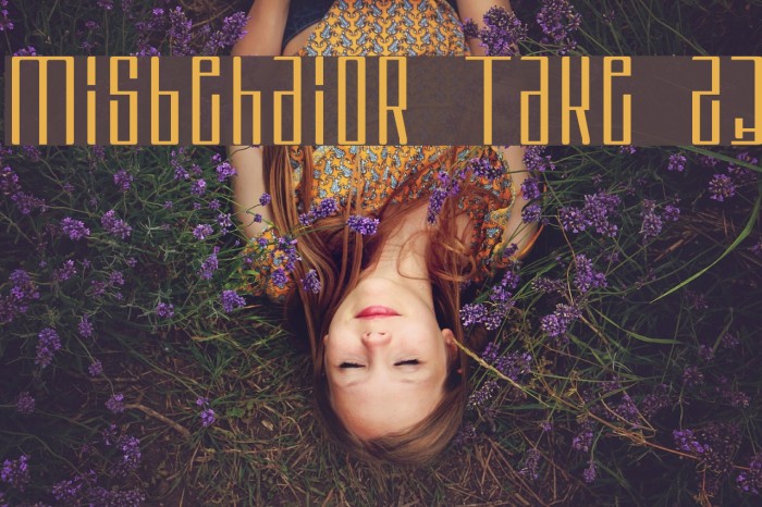 Misbehavior Take 23 Font examples