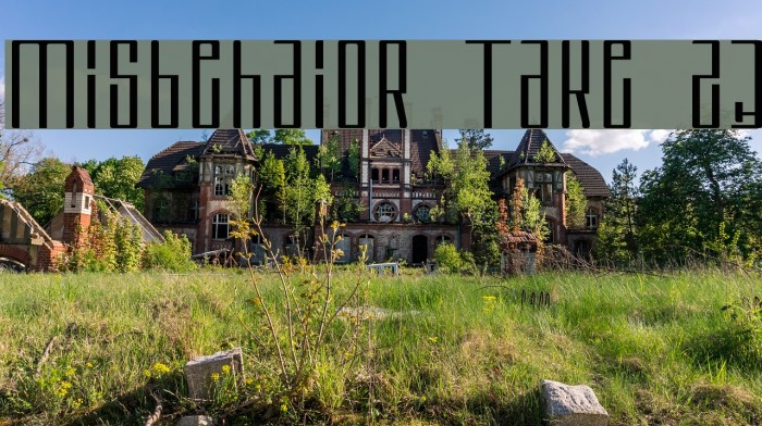 Misbehavior Take 23 Font examples