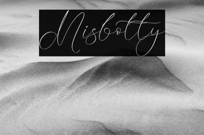 Misbotty Example 2