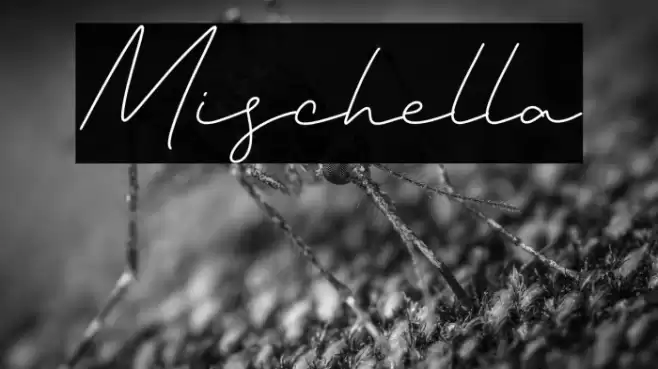 Mischella Font examples