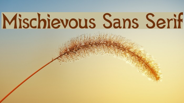 Mischievous Sans Serif Font examples