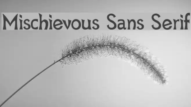 Mischievous Sans Serif Example 3