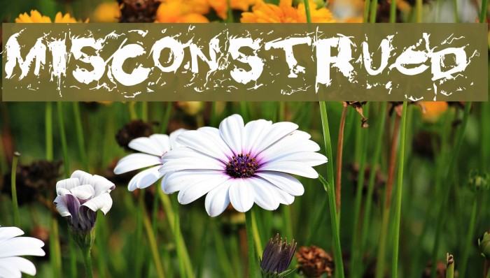 misconstrued 字体