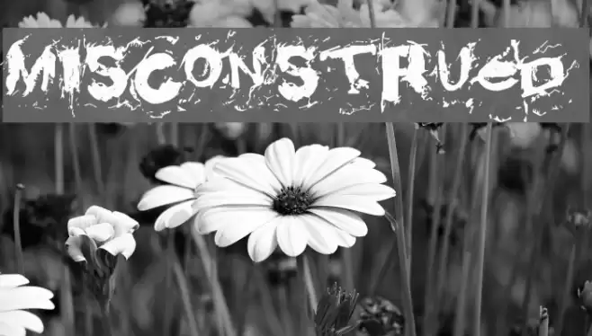 Misconstrued Font examples