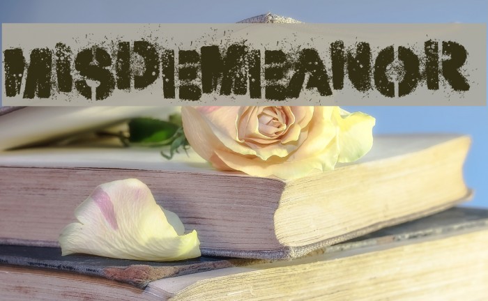 Misdemeanor Font examples