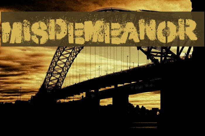 Misdemeanor Font examples