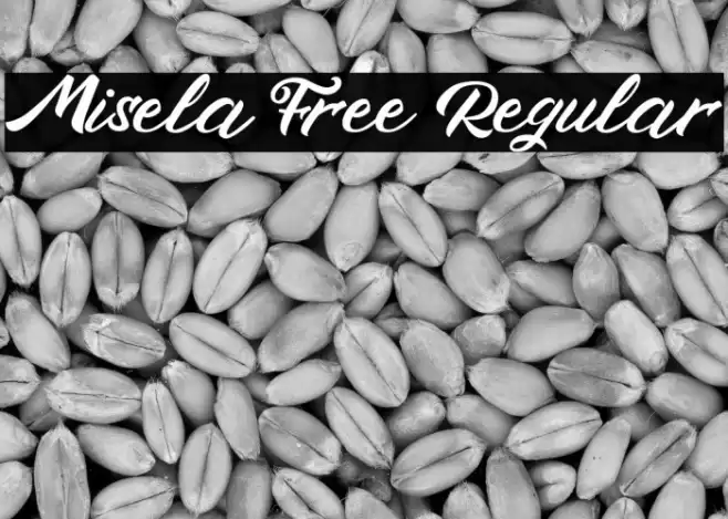 Misela Free Regular Font examples