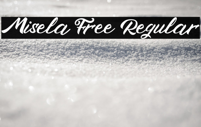 Misela Free Regular Example 3