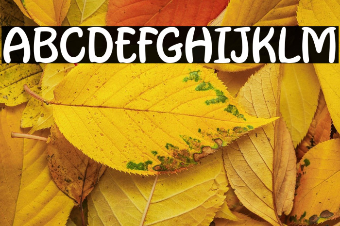 Misellia And Friend Example 1