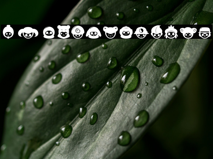 Misfit Cubs_PersonalUseOnly Example 2