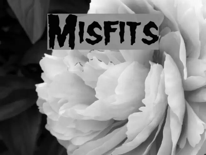 Misfits Font examples