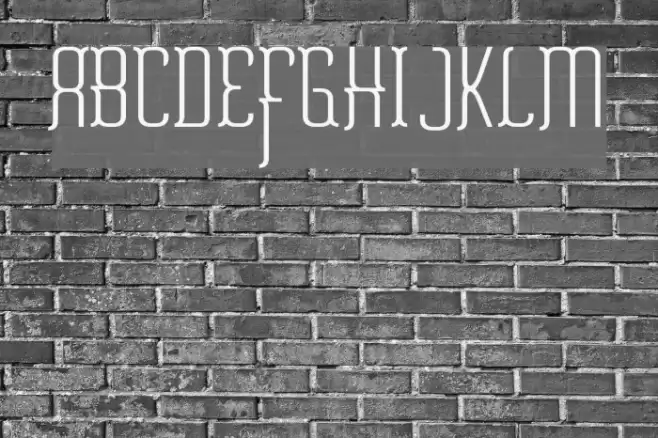 Misfortune Polices examples