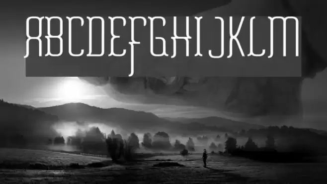 Misfortune Polices examples