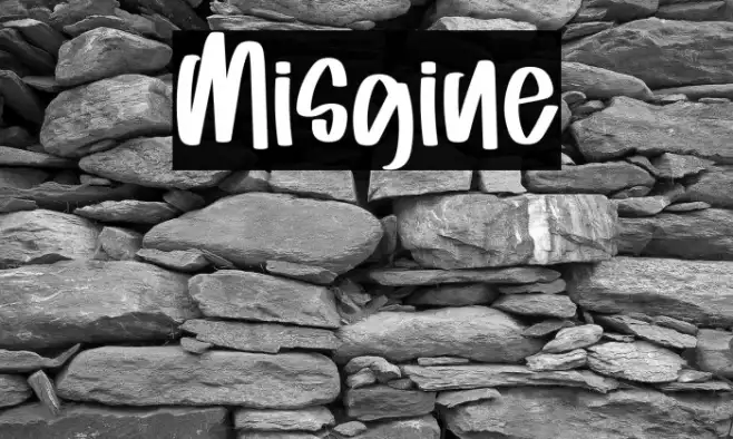 Misgine Example 1