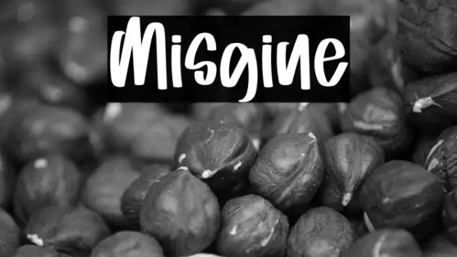Misgine Example 2