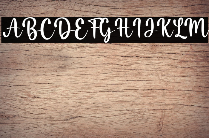 Misha Salma Example 2